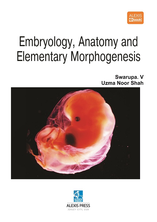 Embryology, Anatomy, and Elementary Morphogenesis