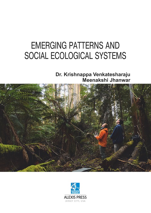 Emerging Patterns and Social-Ecological Systems