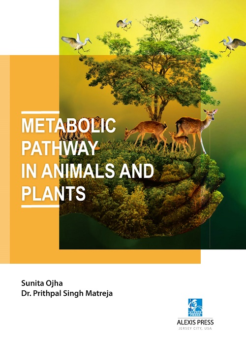 Metabolic Pathway in Animals and Plants