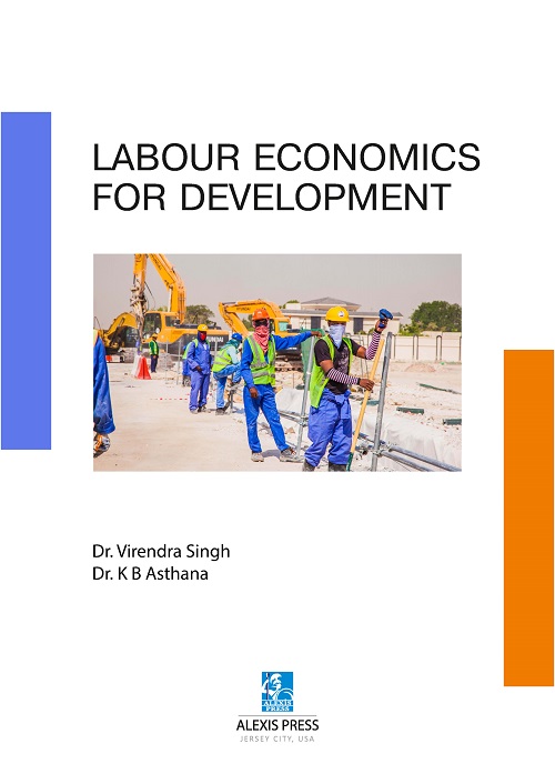 Labour Economics for Development