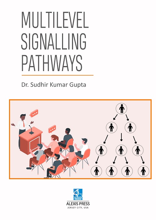 Multilevel Signalling Pathways