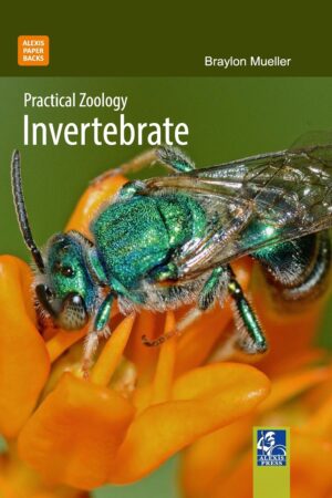 Practical Zoology: Invertebrate