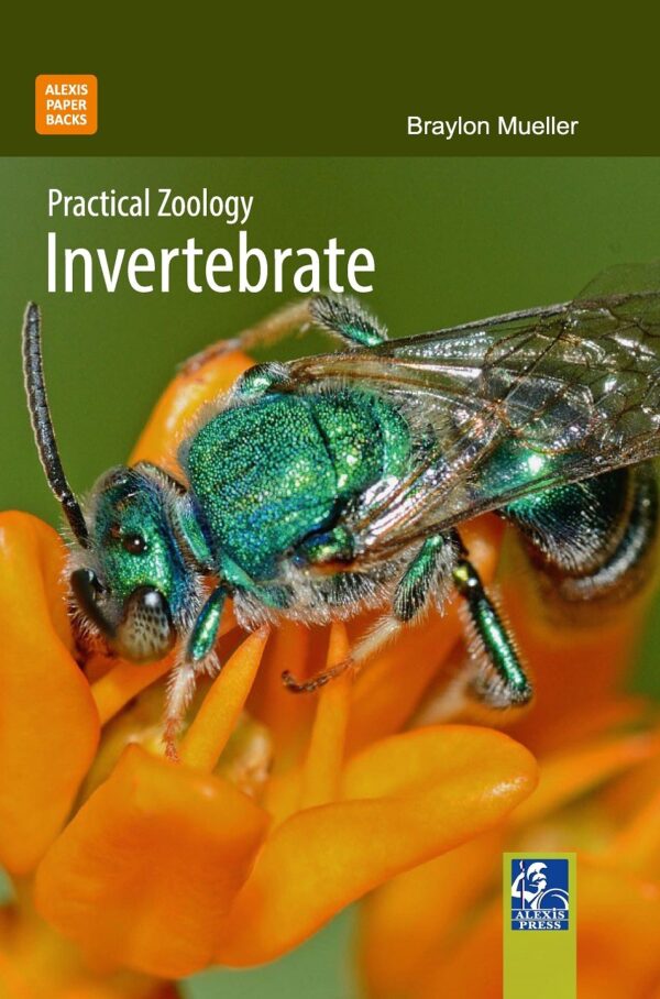 Practical Zoology: Invertebrate