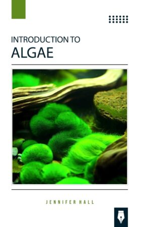 Introduction to Algae