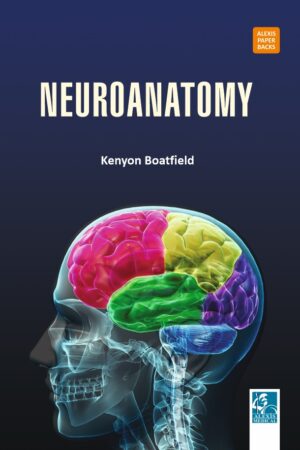 Neuroanatomy