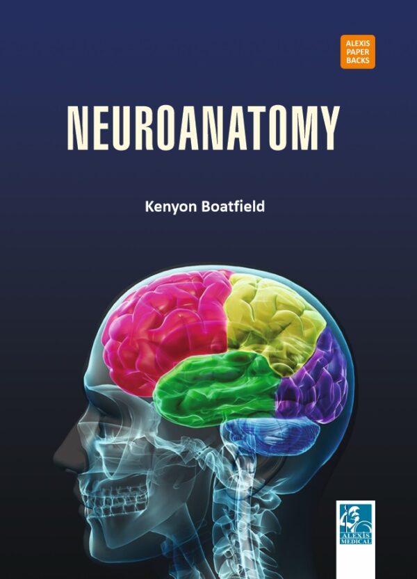 Neuroanatomy