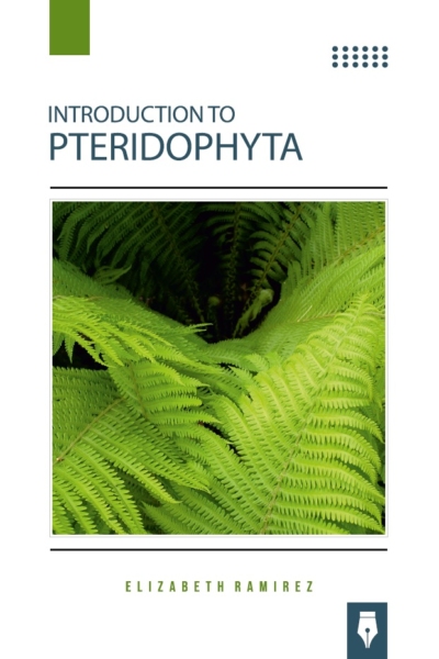 Introduction to Pteridophyta