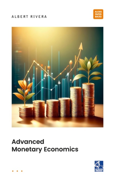 Advanced Monetary Economics